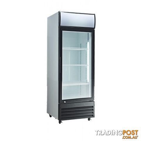 Refrigeration - Display chillers - Exquisite DC200P - 200L upright display fridge - Catering