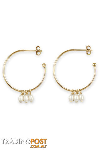 Bianc Gold Freshwater Pearl Cluster Drop Hoop Earrings 10100478