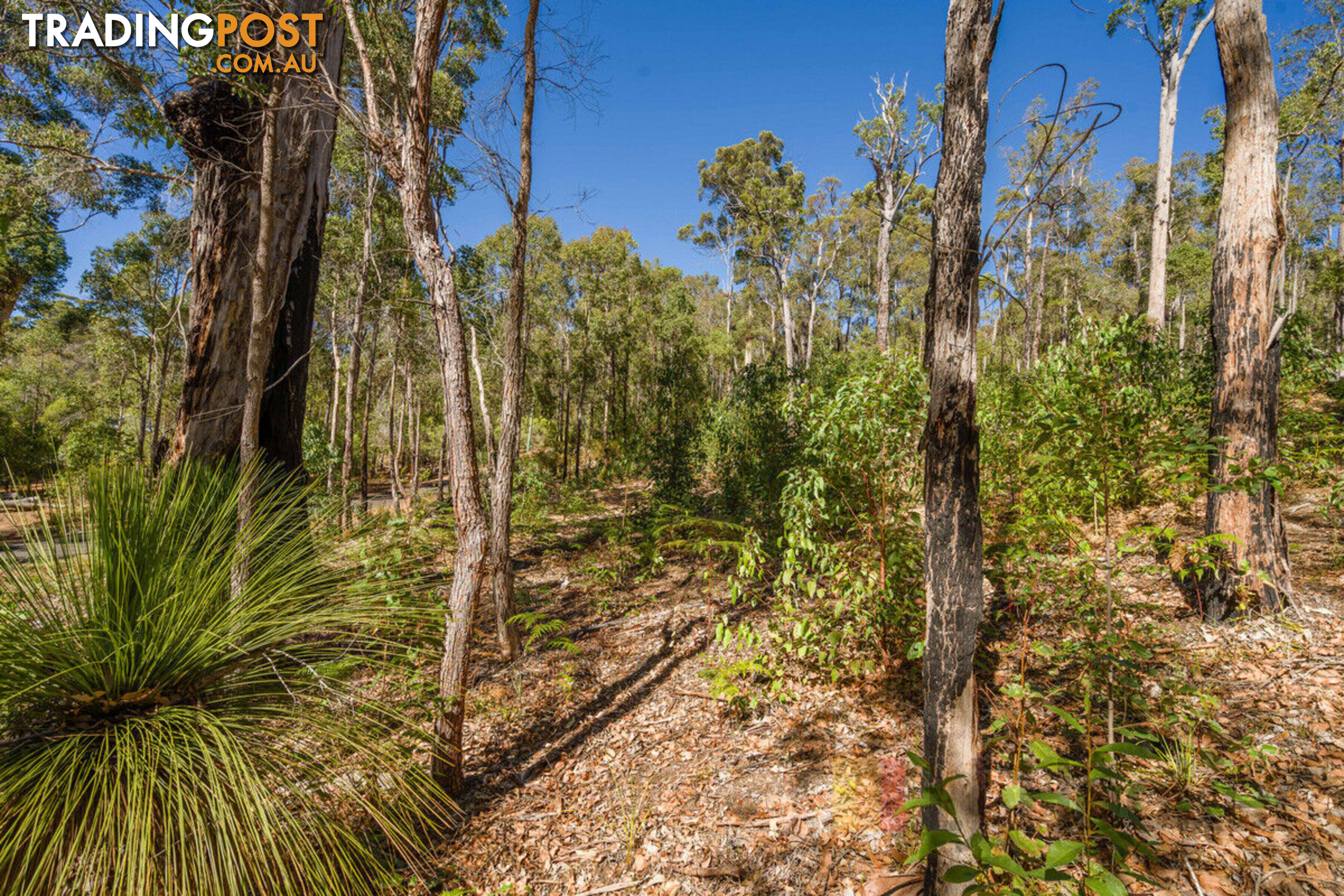 Lot 59/ Karri Lane QUINNINUP WA 6258