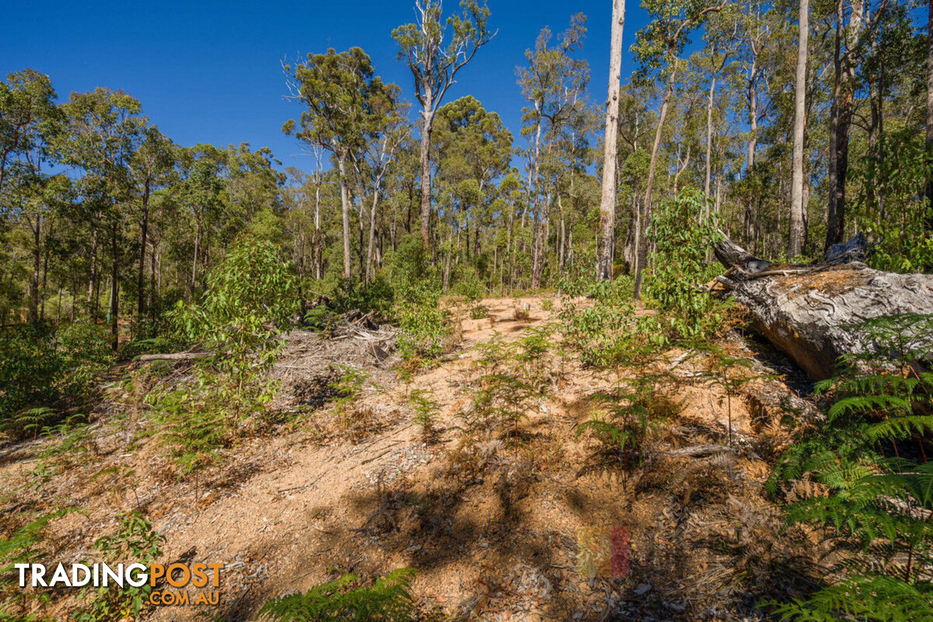 Lot 59/ Karri Lane QUINNINUP WA 6258