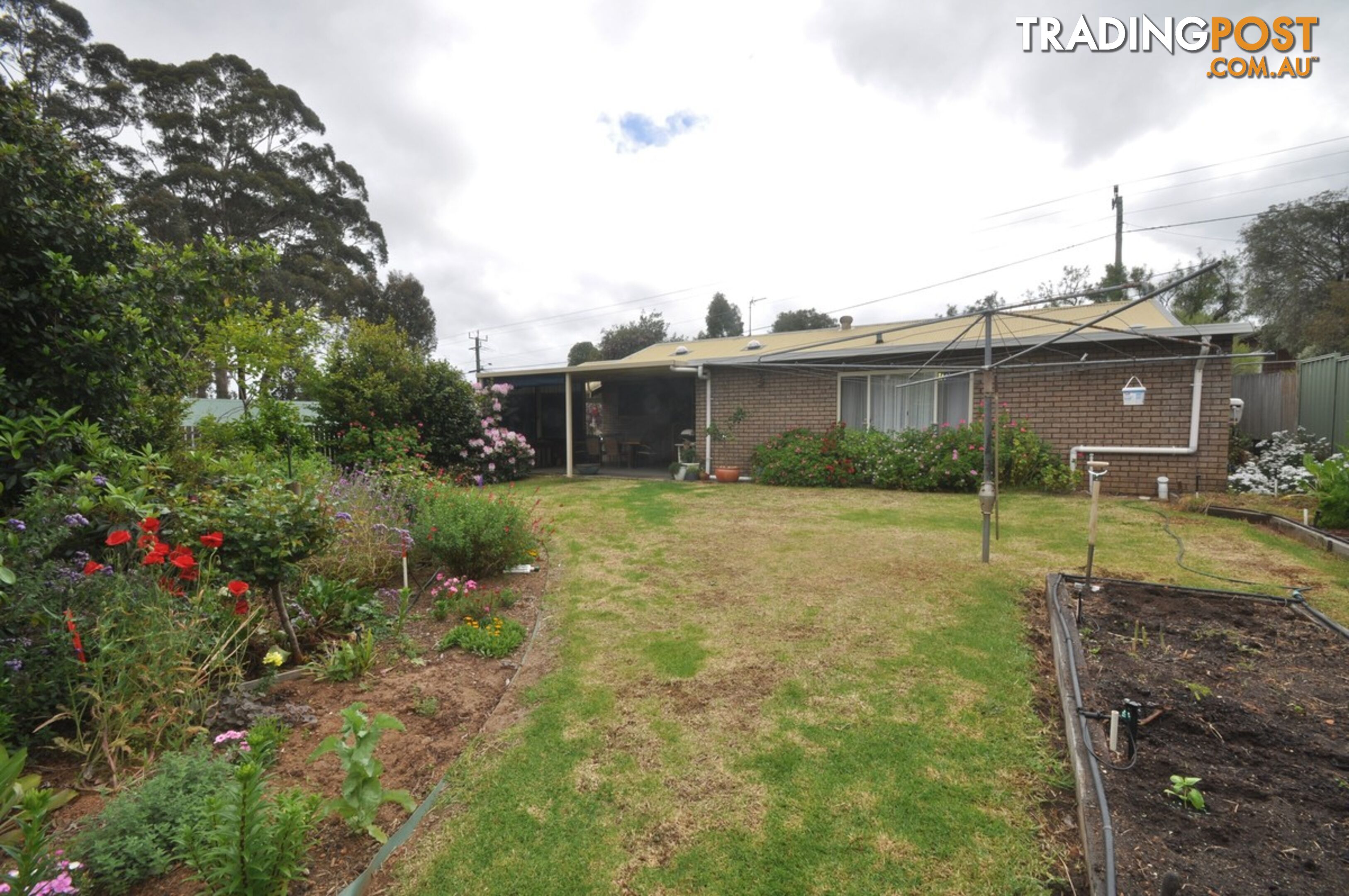 38 Robinson Street PEMBERTON WA 6260