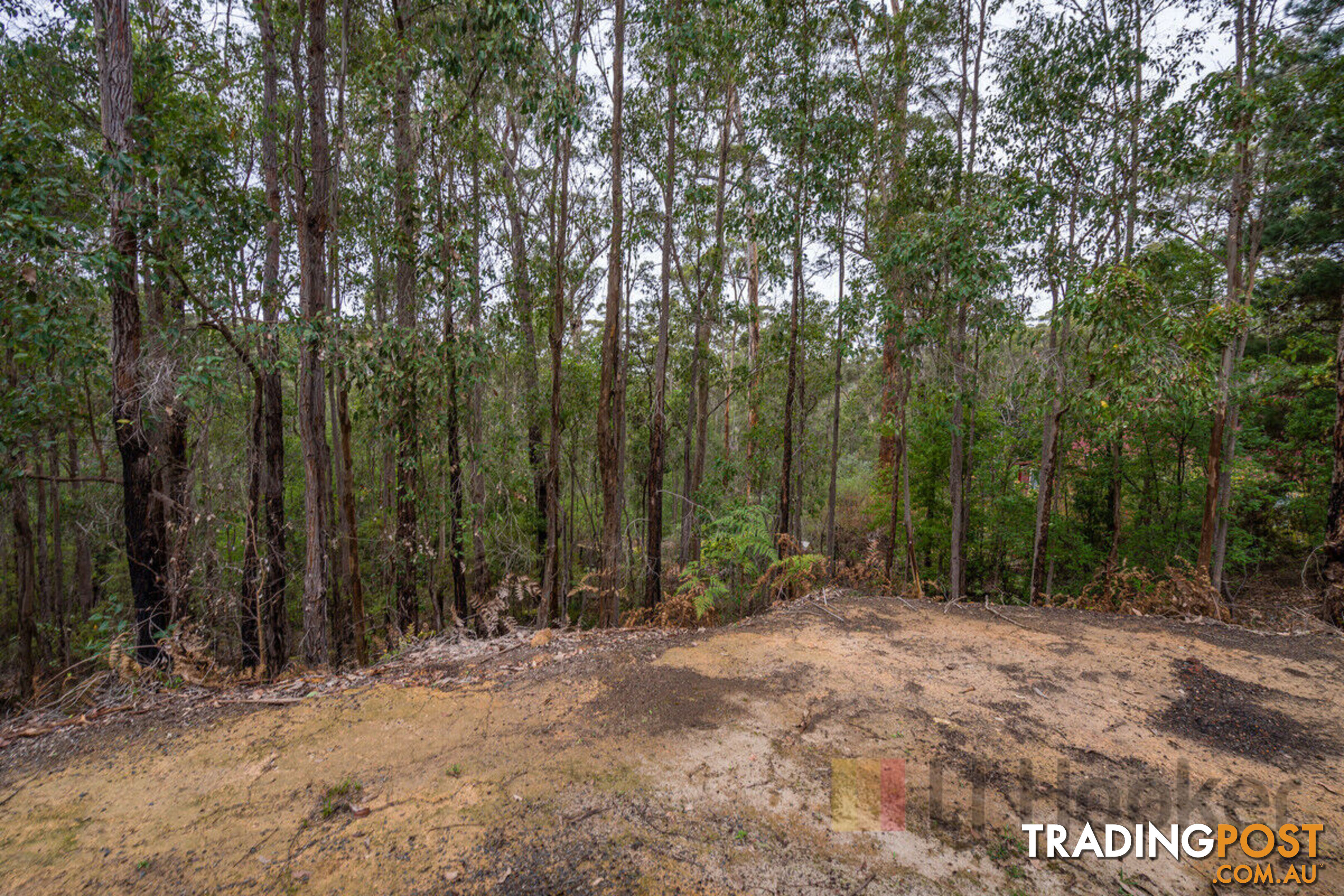 75 Karri Lane QUINNINUP WA 6258