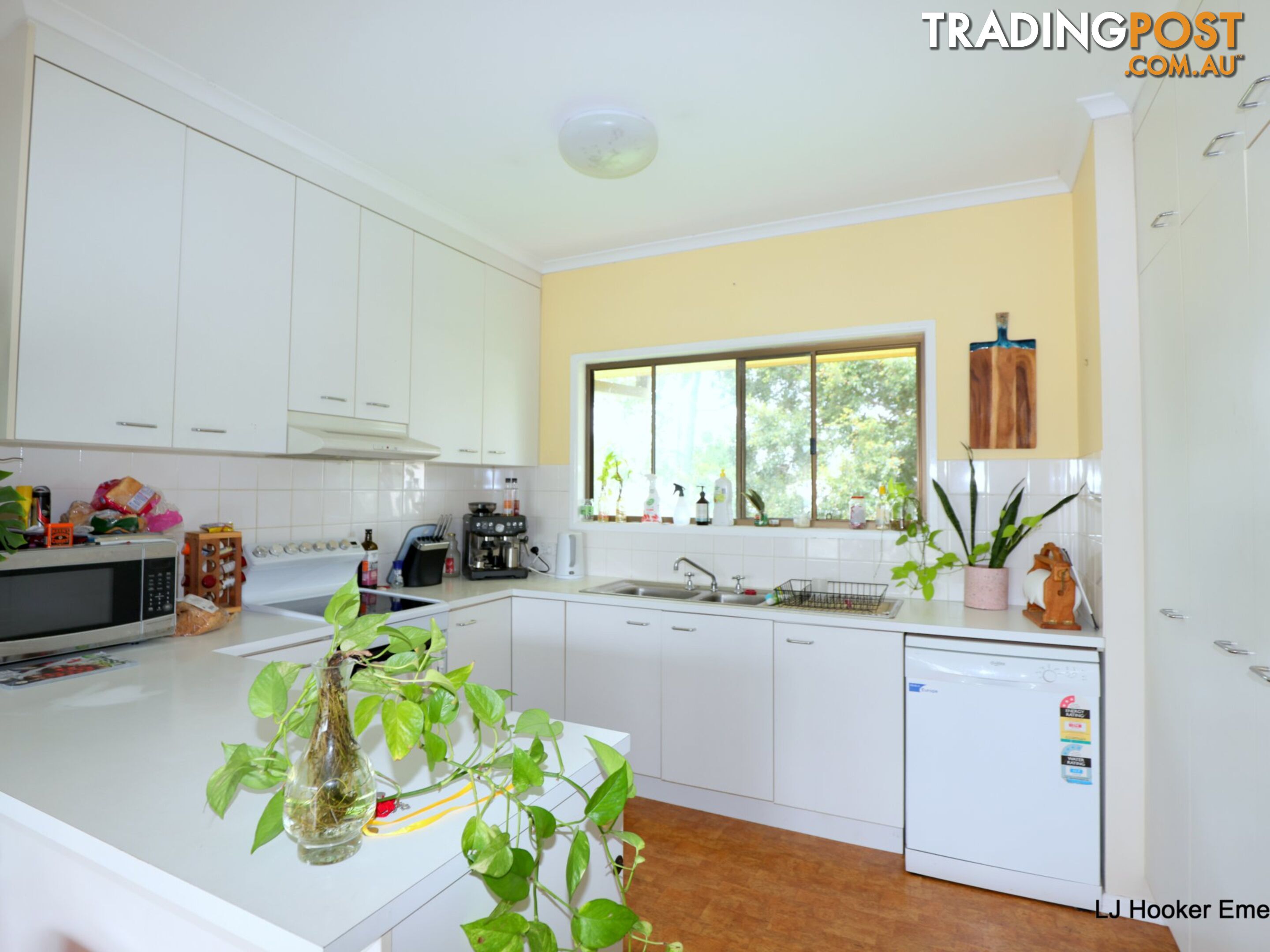 6 Green Grove EMERALD QLD 4720