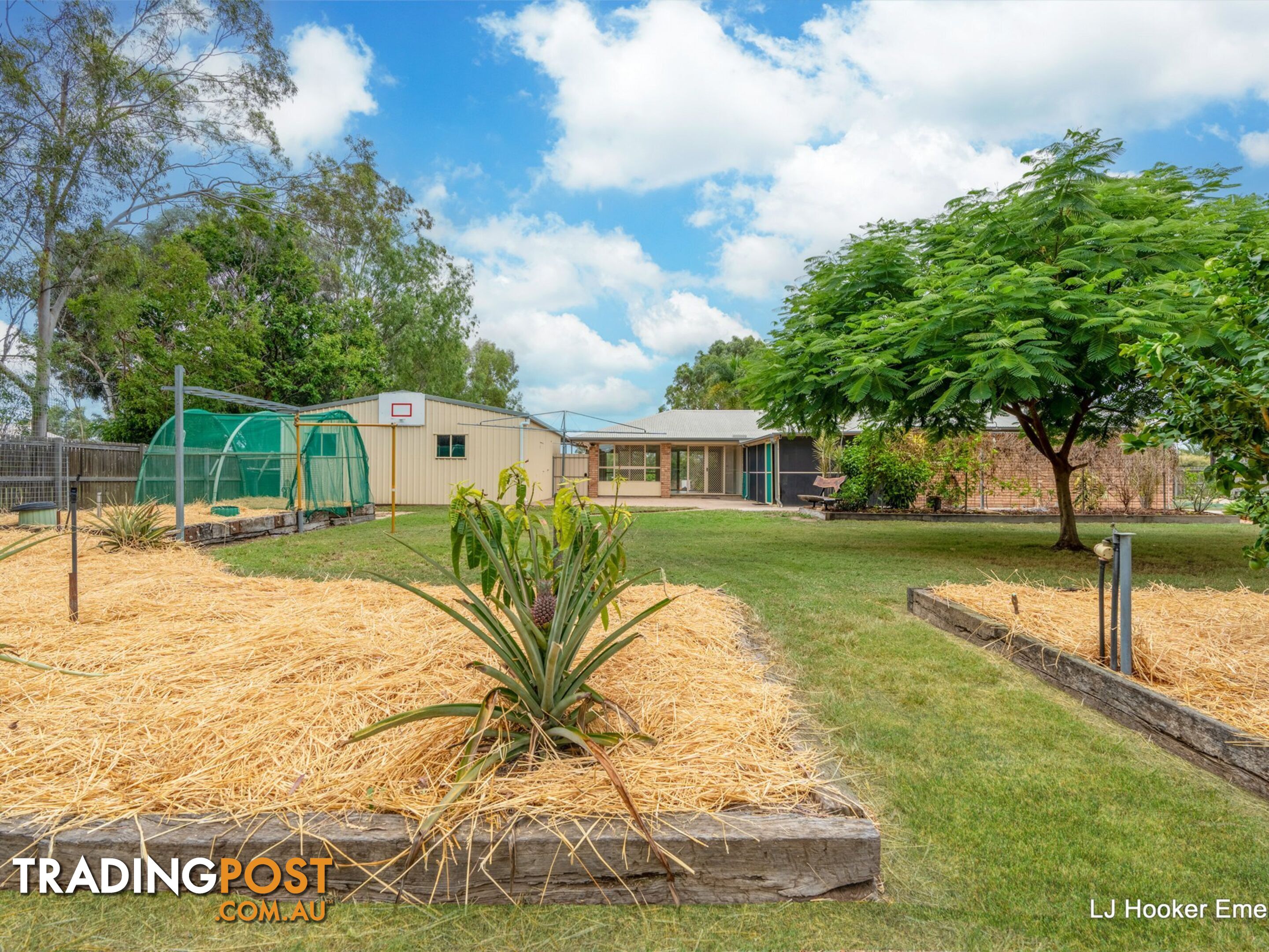 3 Edgewood Drive EMERALD QLD 4720