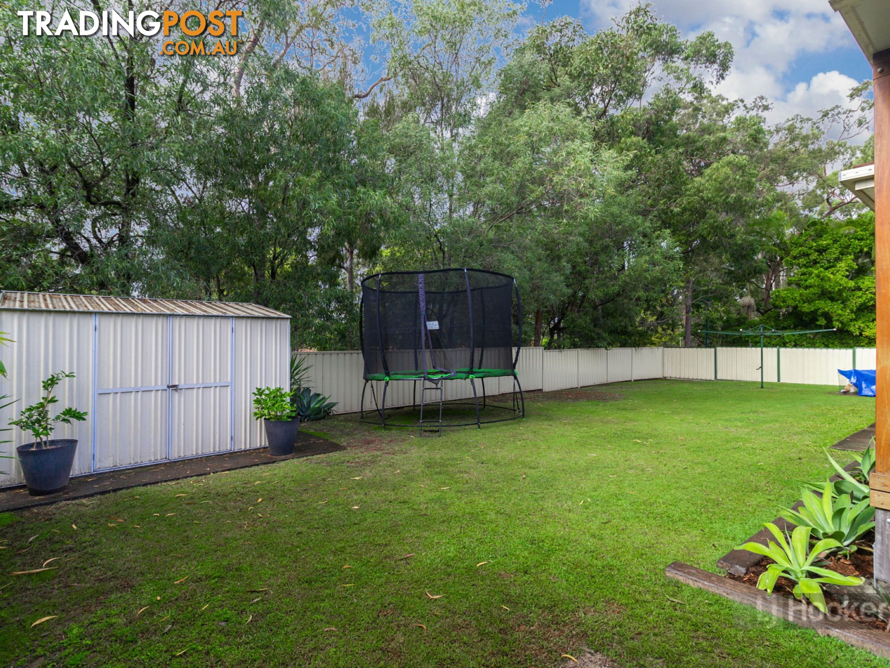 19 Teasel Crescent FOREST LAKE QLD 4078