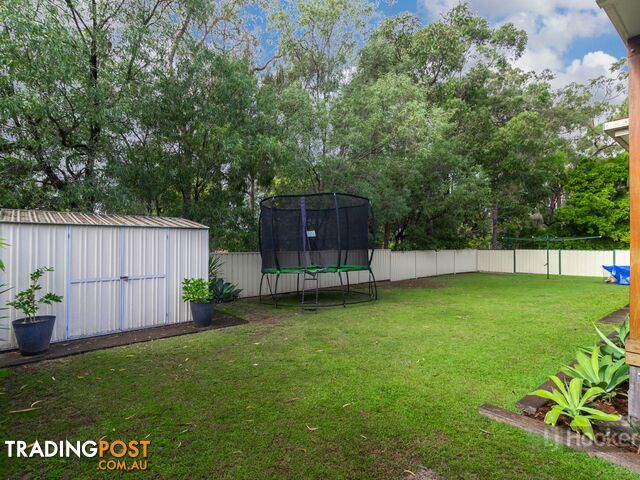 19 Teasel Crescent FOREST LAKE QLD 4078