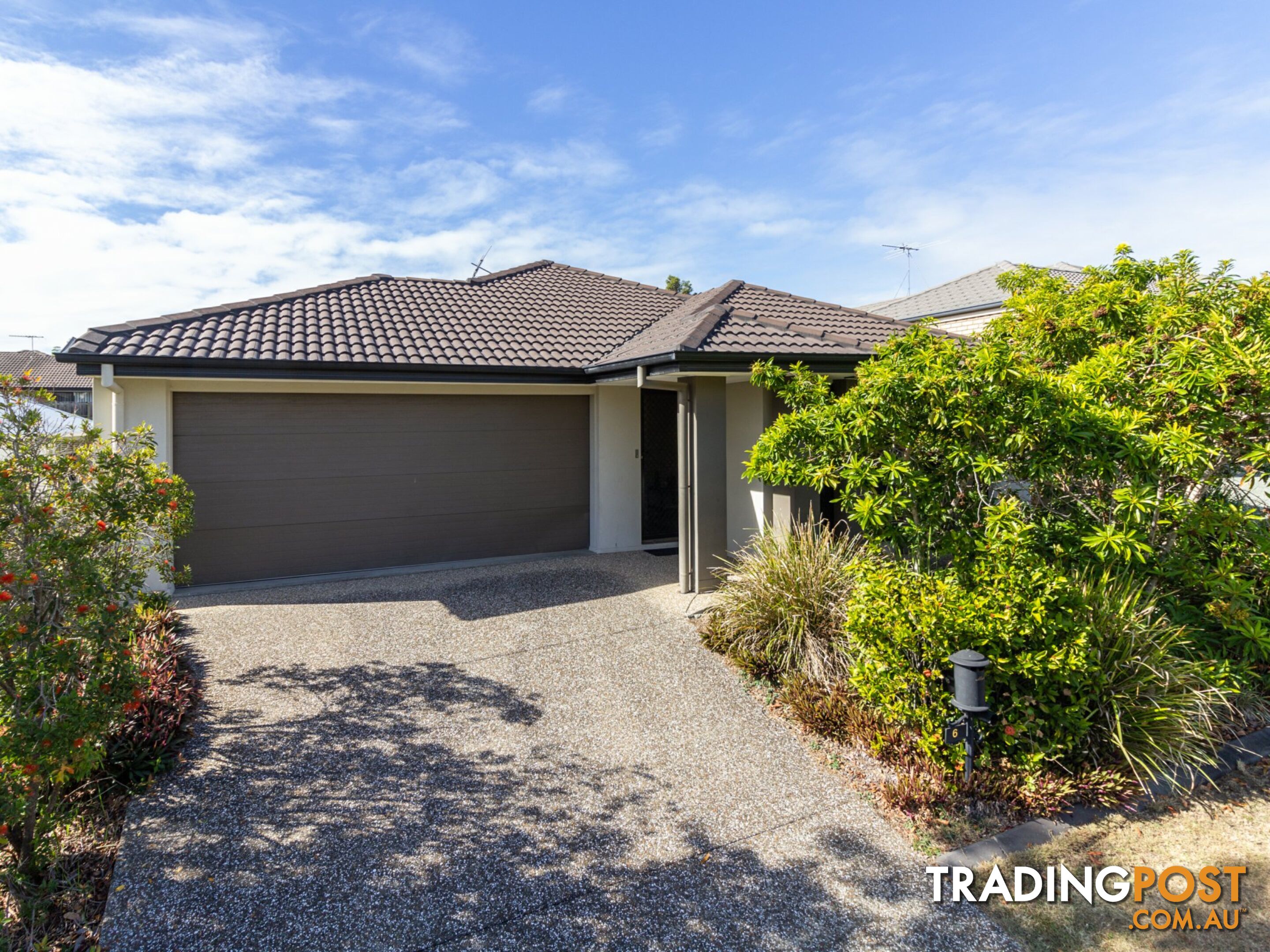 6 Cottonwood Crescent SPRINGFIELD LAKES QLD 4300