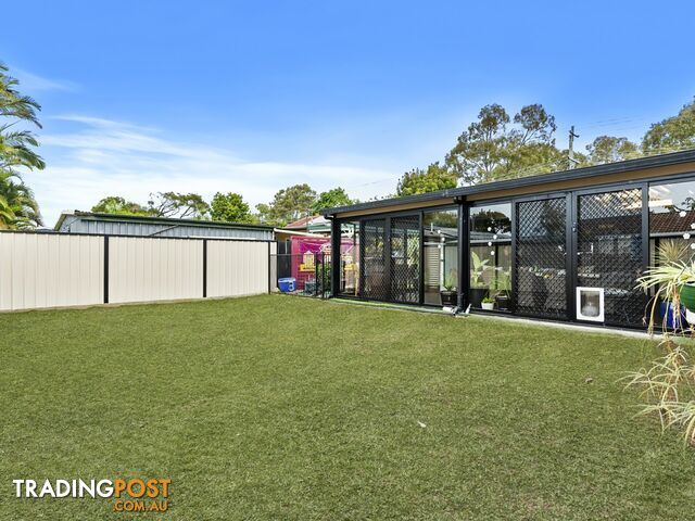 117 Goodwin Drive BONGAREE QLD 4507