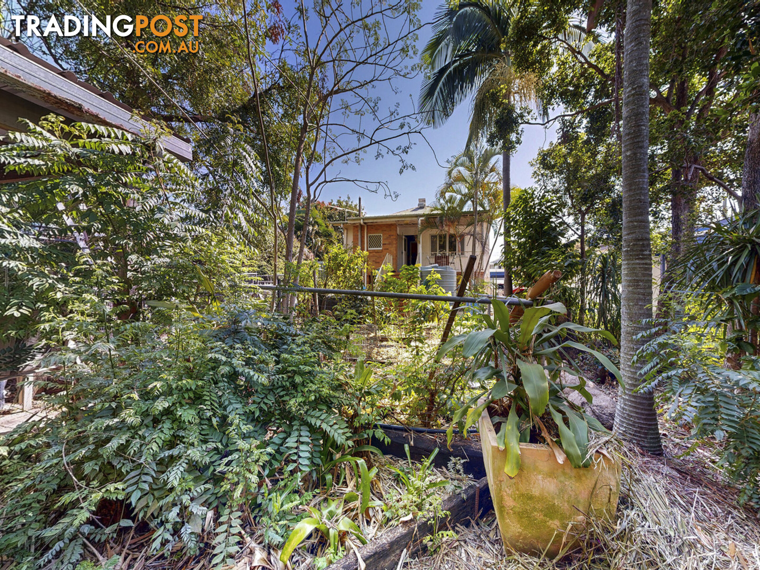 65 Armstrong Road CANNON HILL QLD 4170