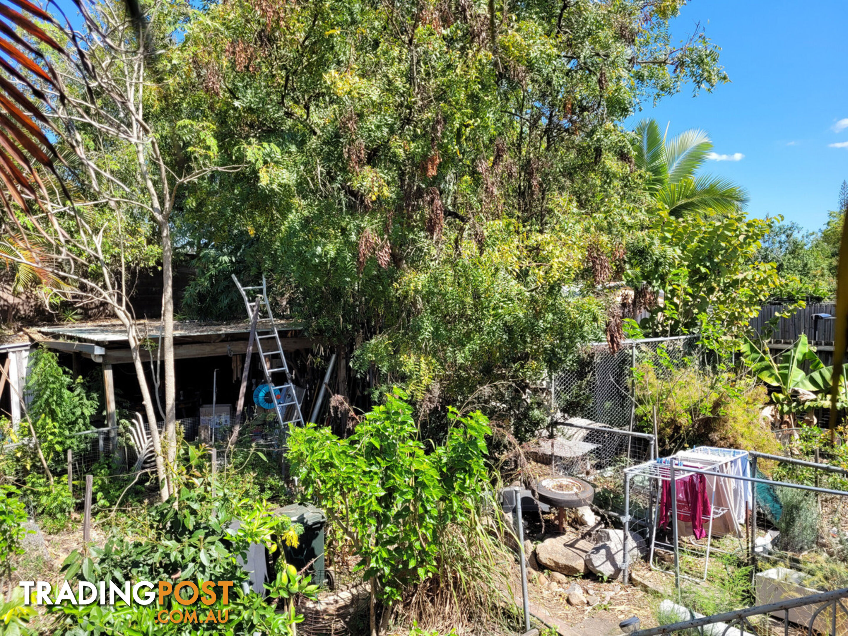 65 Armstrong Road CANNON HILL QLD 4170