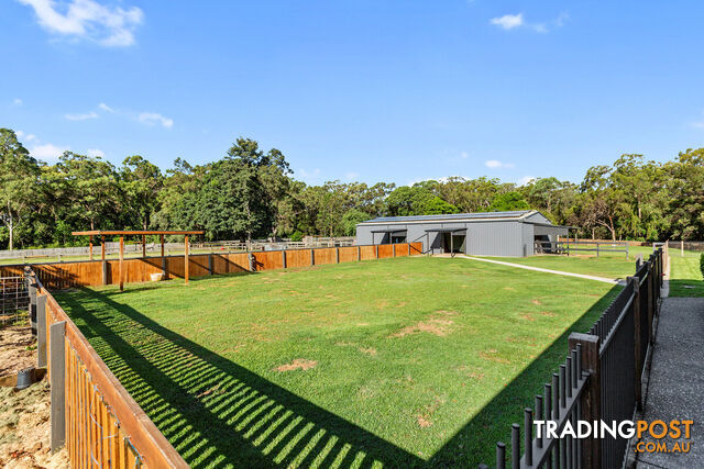 20 Camrose Street CHANDLER QLD 4155