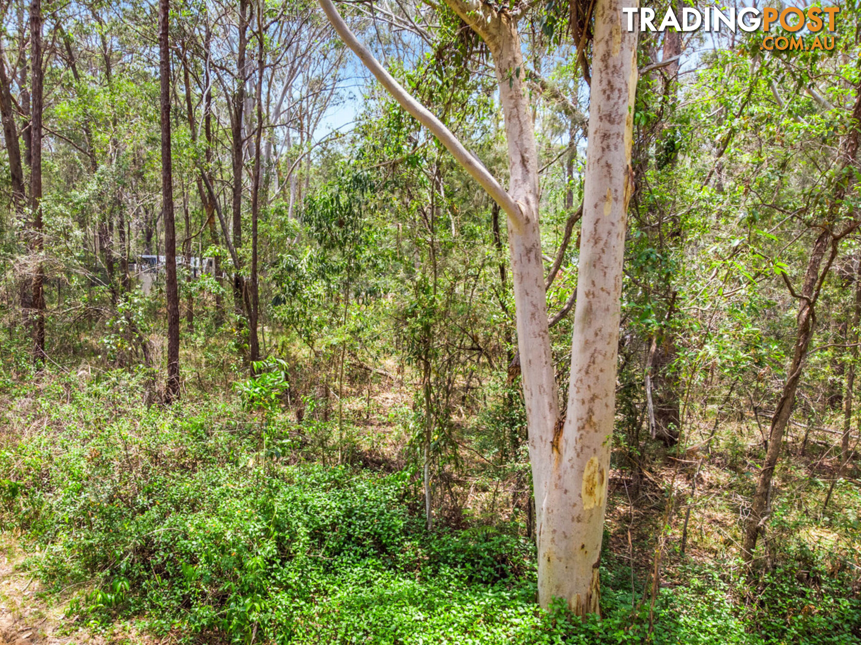 32 Forest Hill Road RUSSELL ISLAND QLD 4184