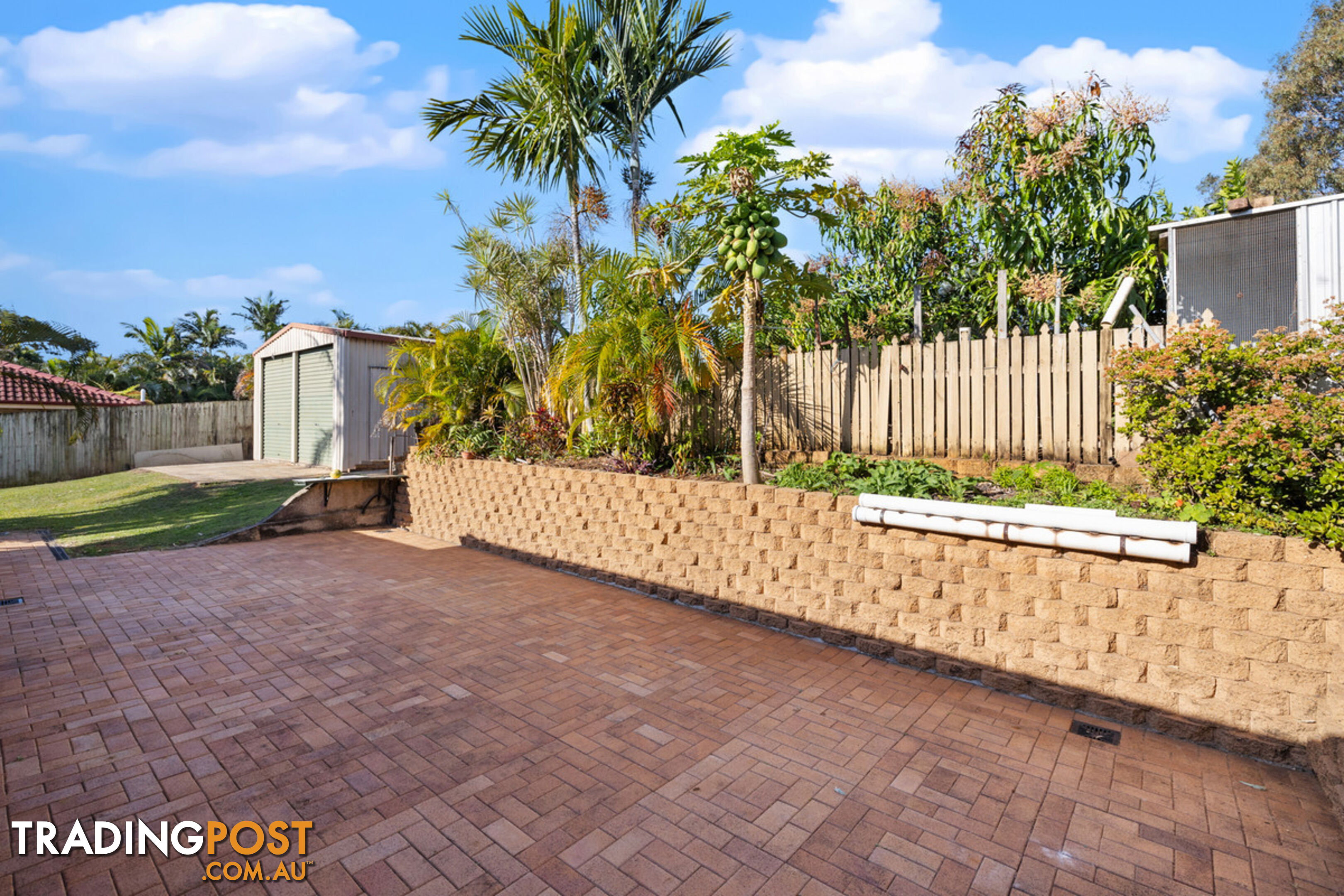 6 Vassi Concord CLEVELAND QLD 4163