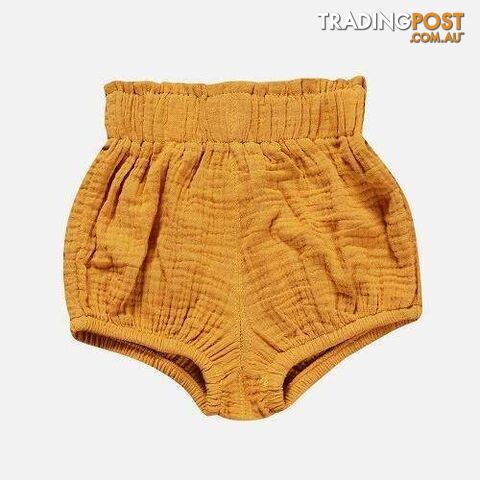 Summer Shorts