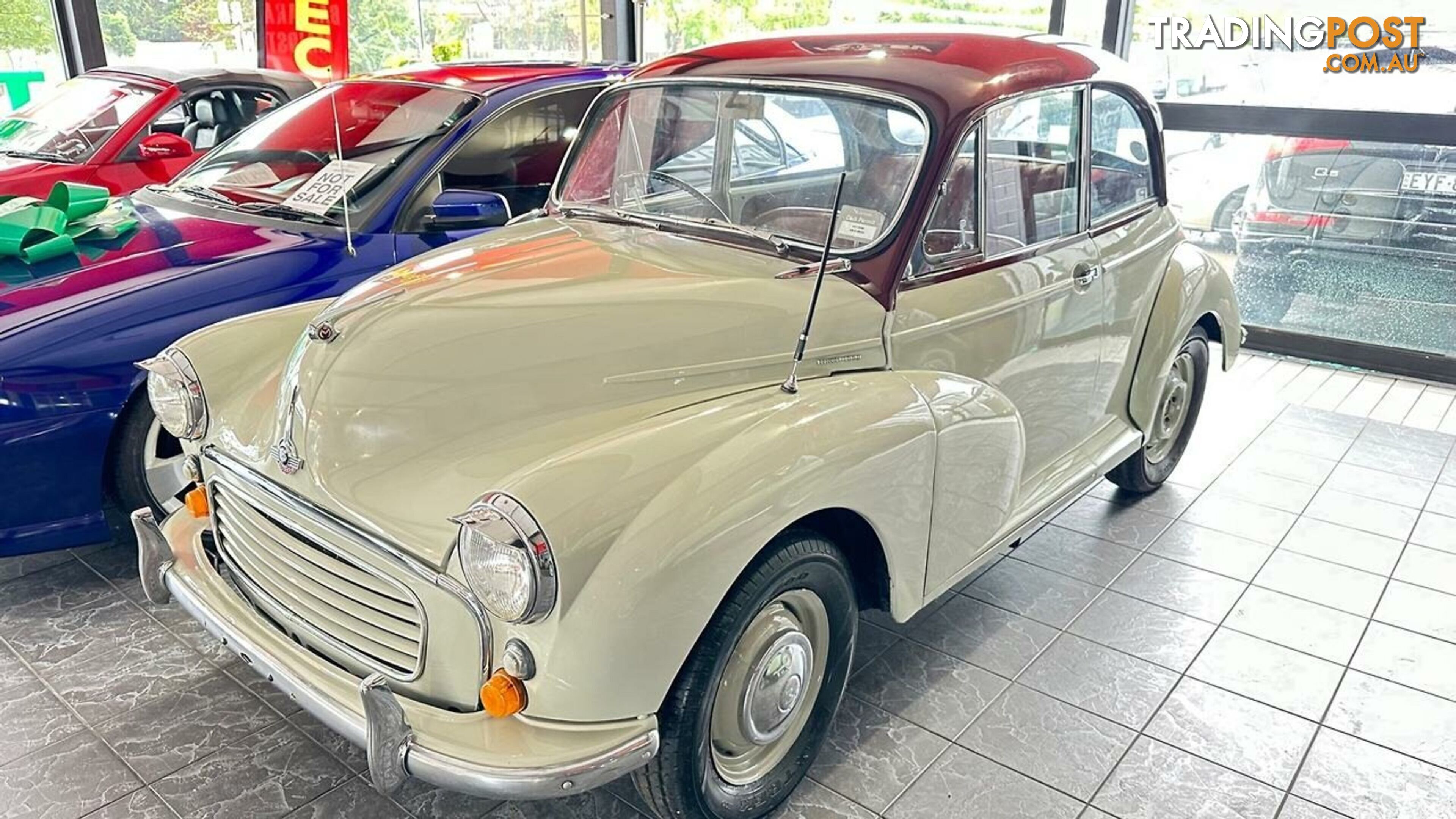 1959 Morris Minor BodyStyle Badge Sedan