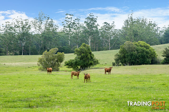 Lot 26/Lot 16 Hanleys Creek Road DUNGOG NSW 2420