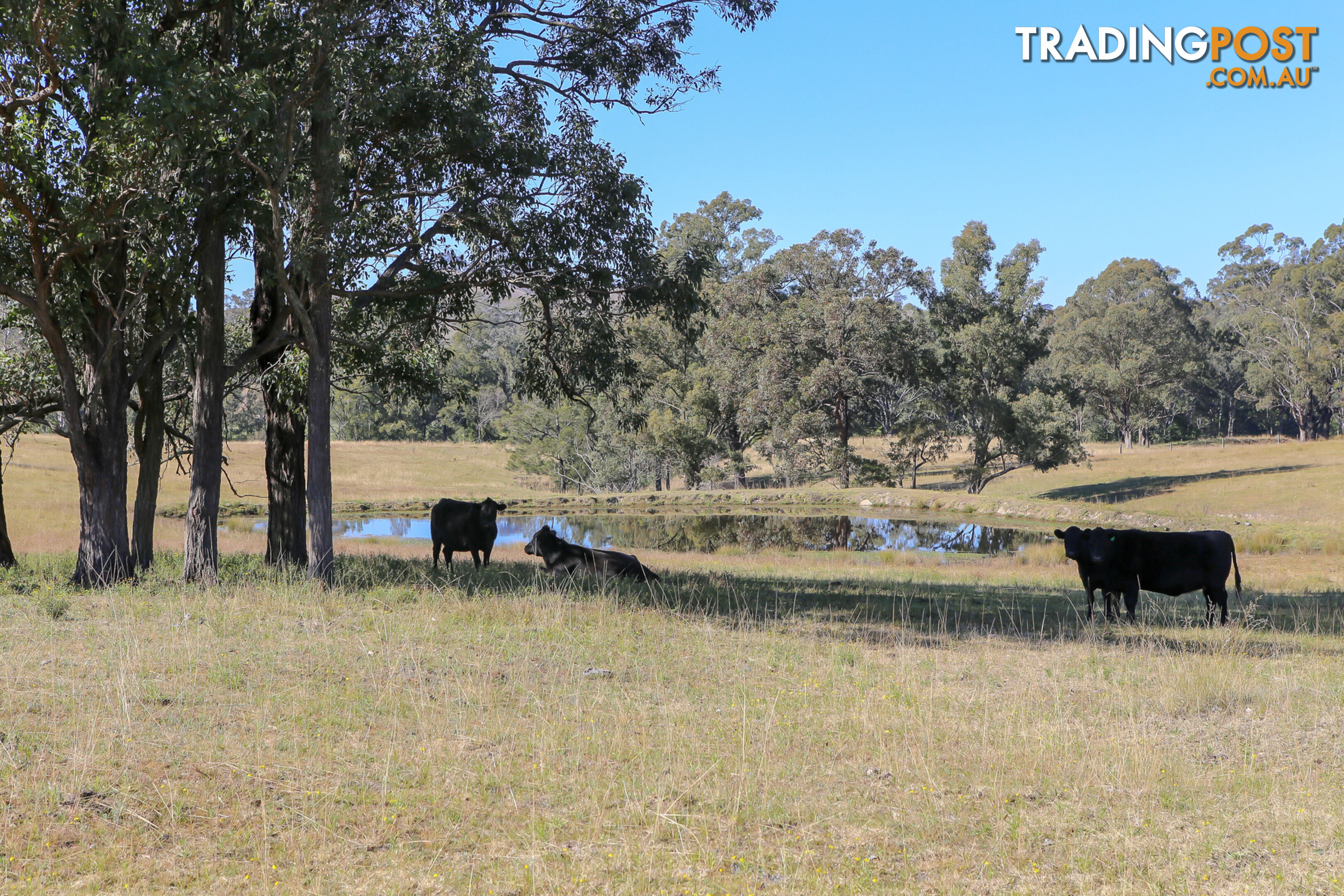 Lot 25/Lot 16 Hanleys Creek Road DUNGOG NSW 2420