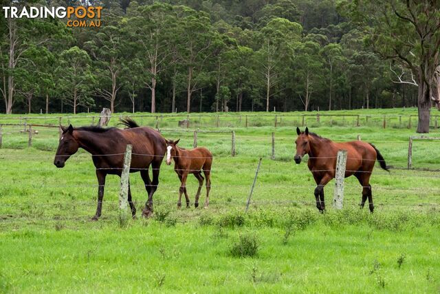 Lot 79/ Booral Road BOORAL NSW 2425