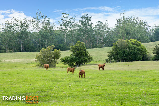 Lot 14/Lot 16 Hanleys Creek Road DUNGOG NSW 2420