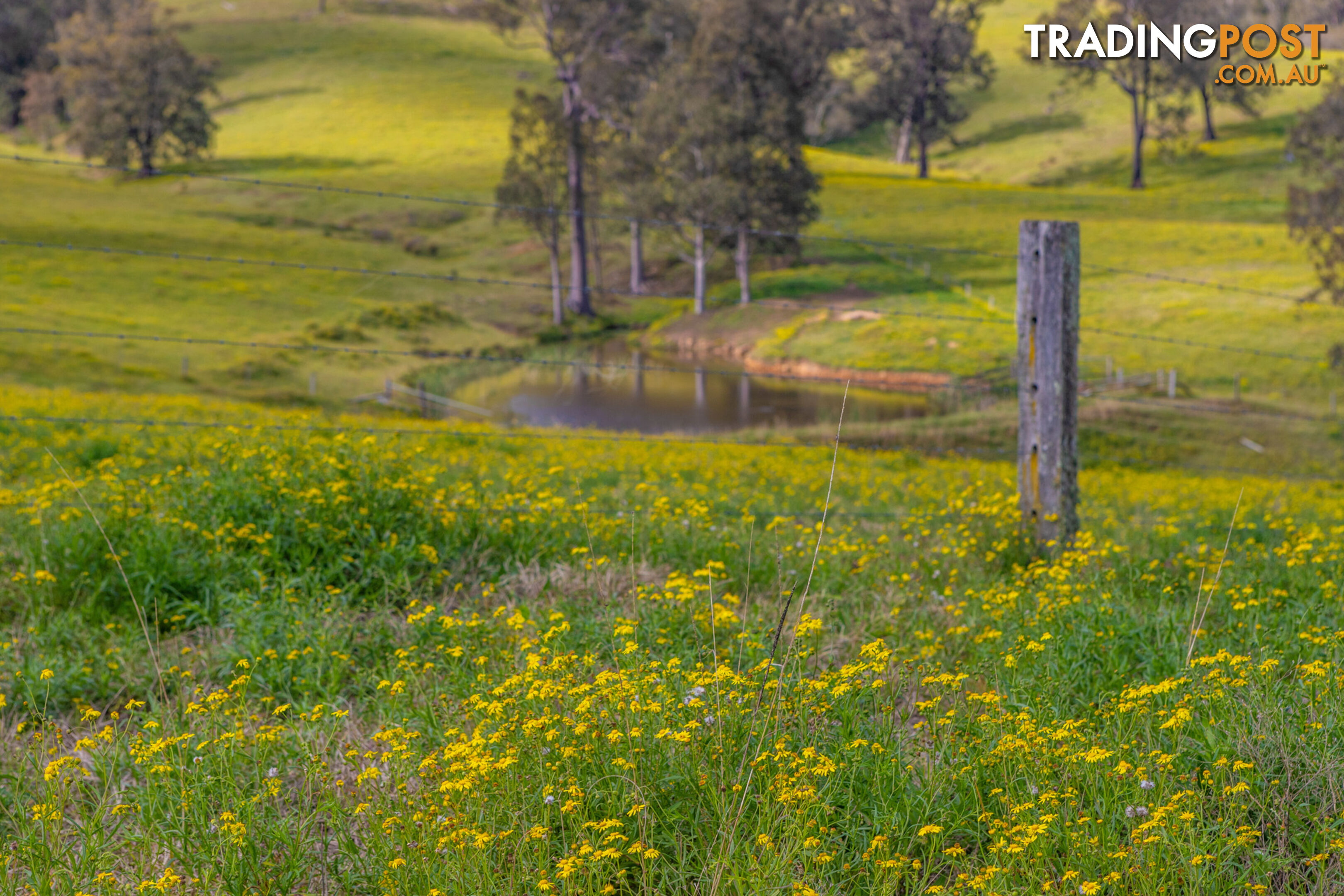 Lot 14/Lot 16 Hanleys Creek Road DUNGOG NSW 2420