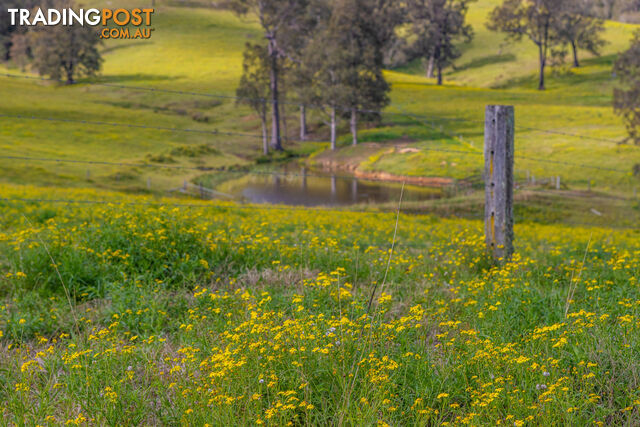 Lot 14/Lot 16 Hanleys Creek Road DUNGOG NSW 2420