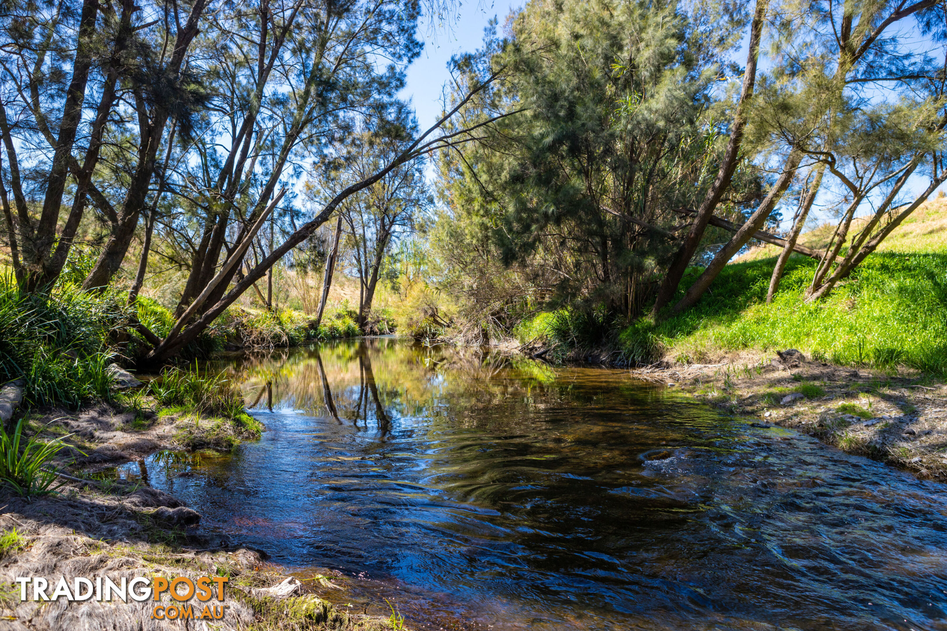 Lot 14/Lot 16 Hanleys Creek Road DUNGOG NSW 2420