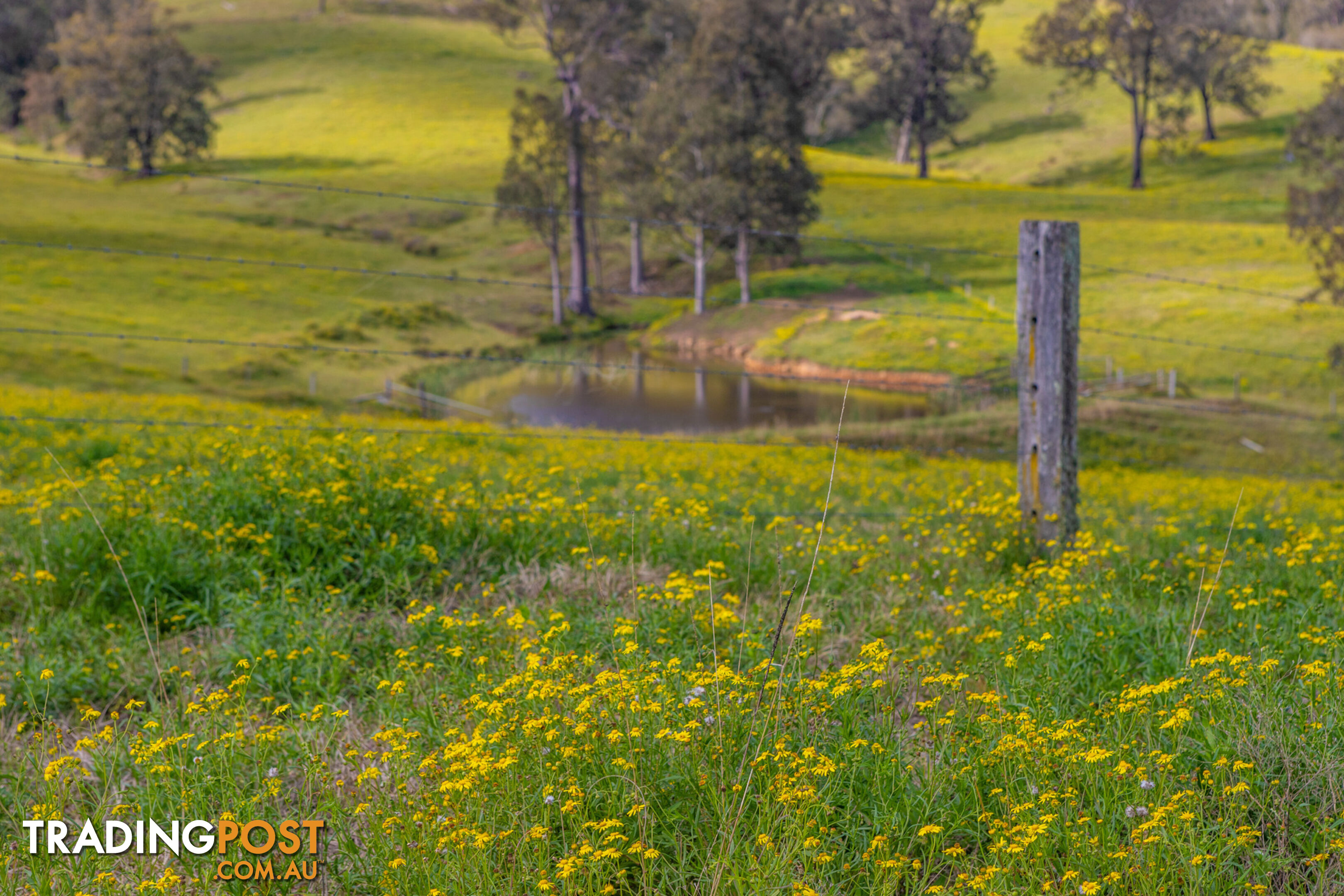 Lot 15/Lot 16 Hanleys Creek Road DUNGOG NSW 2420