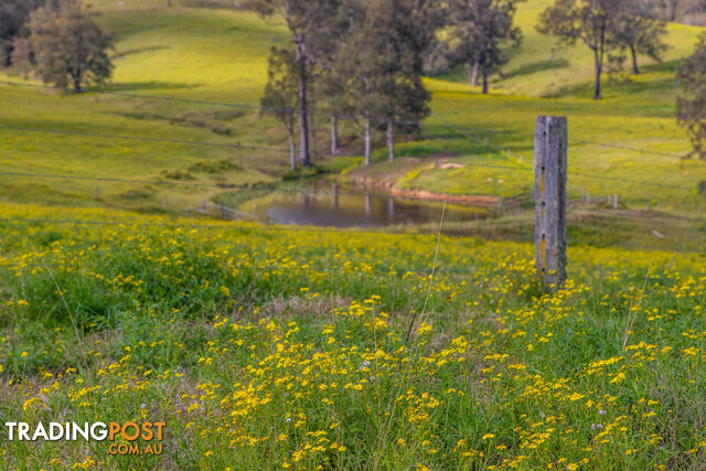 Lot 15/Lot 16 Hanleys Creek Road DUNGOG NSW 2420