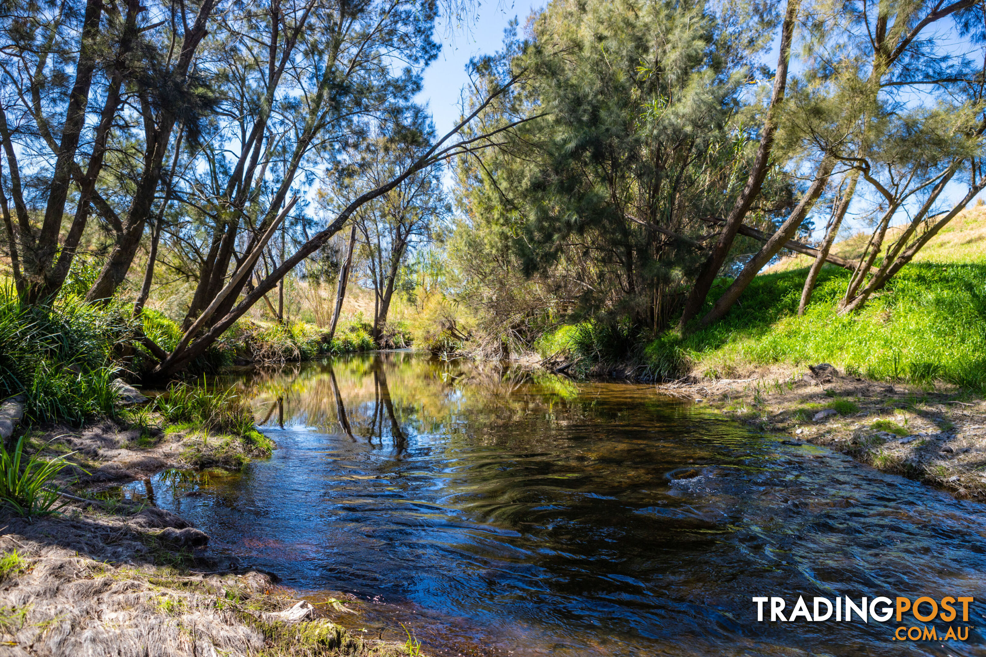 Lot 15/Lot 16 Hanleys Creek Road DUNGOG NSW 2420