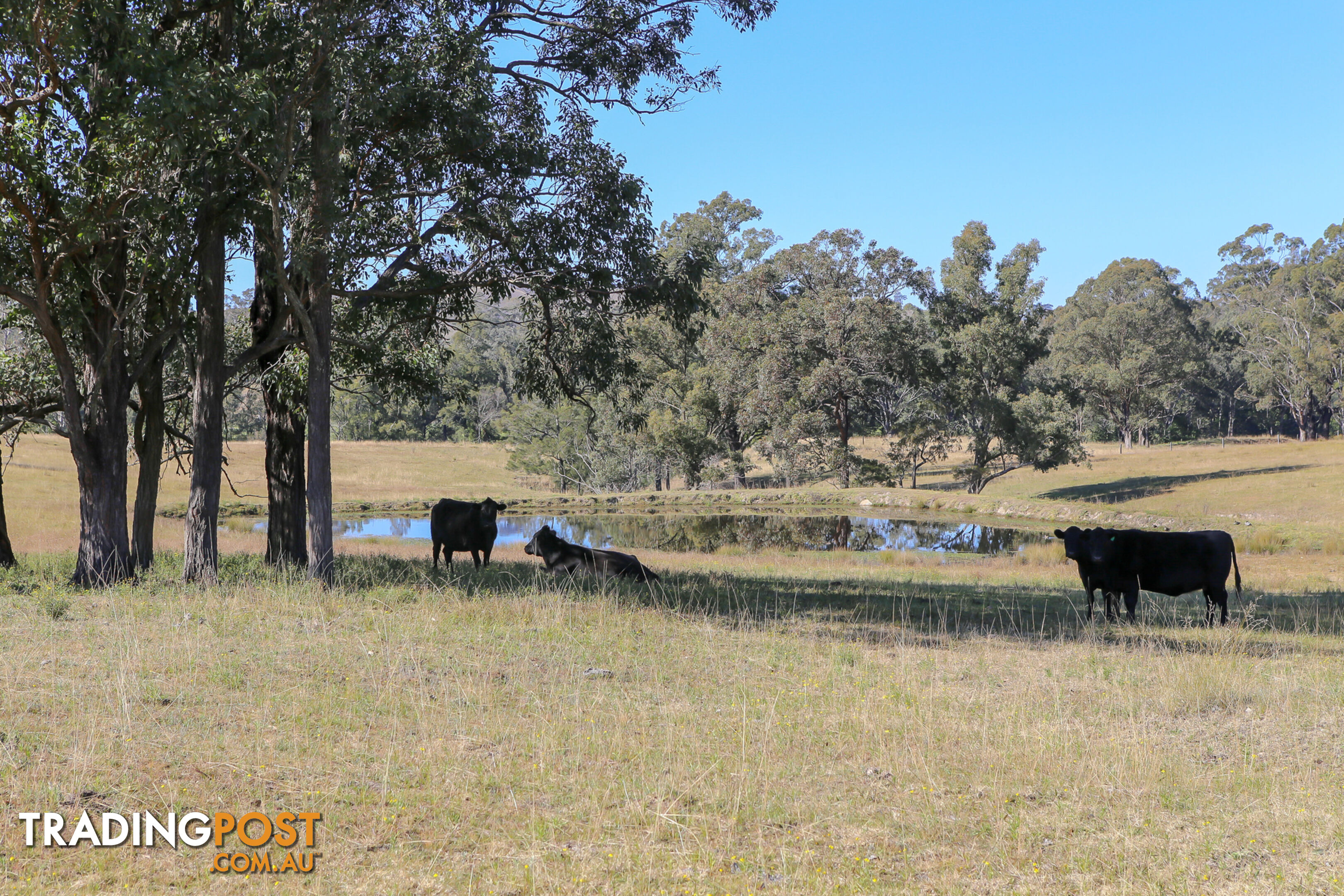 Lot 15/Lot 16 Hanleys Creek Road DUNGOG NSW 2420