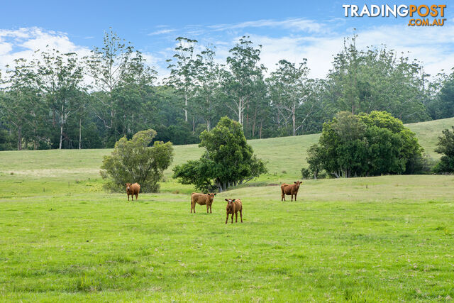 Lot 12/Lot 16 Hanleys Creek Road DUNGOG NSW 2420