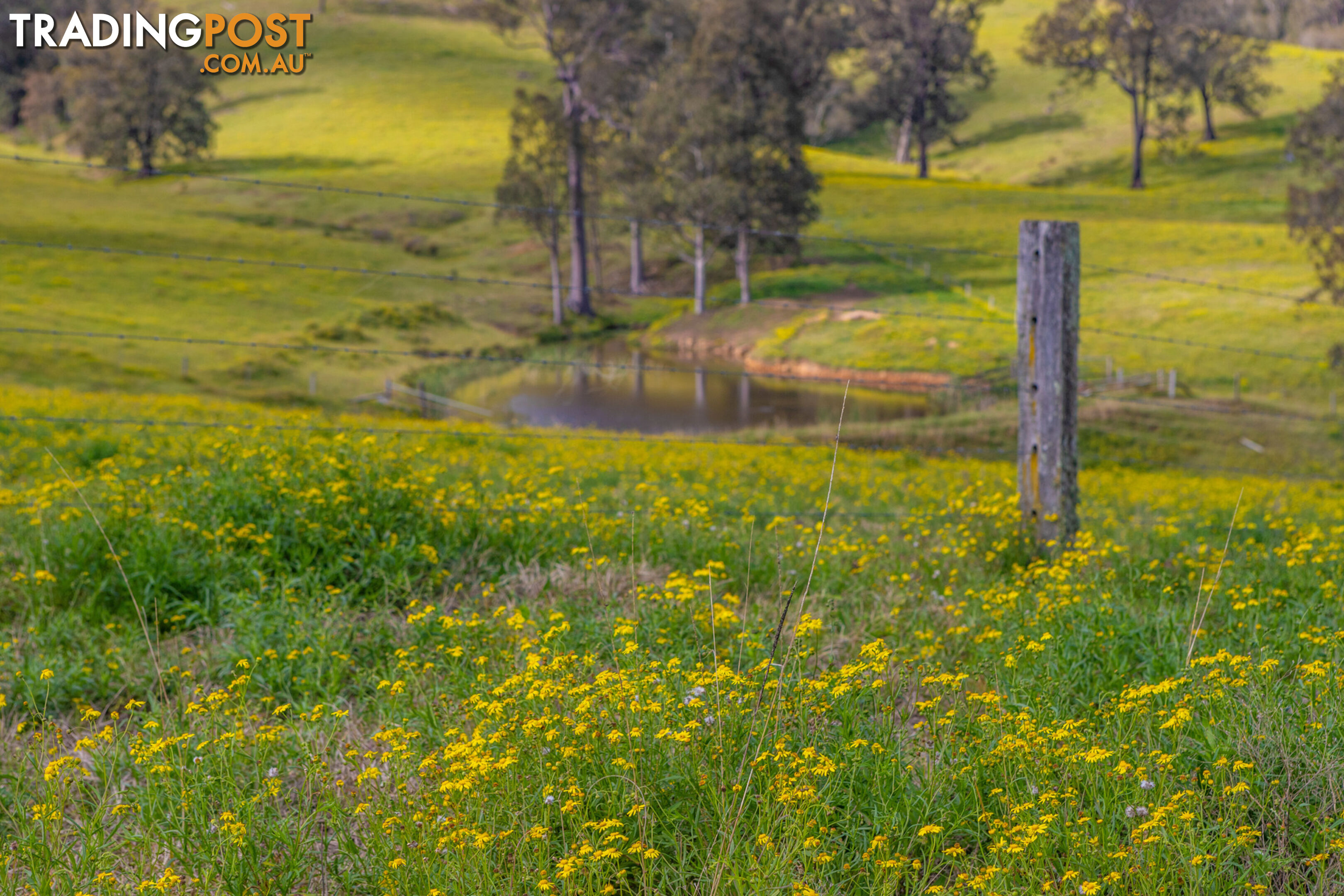 Lot 2/Lot 16 Hanleys Creek Road DUNGOG NSW 2420