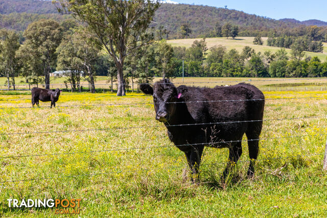 Lot 24/Lot 16 Hanleys Creek Road DUNGOG NSW 2420