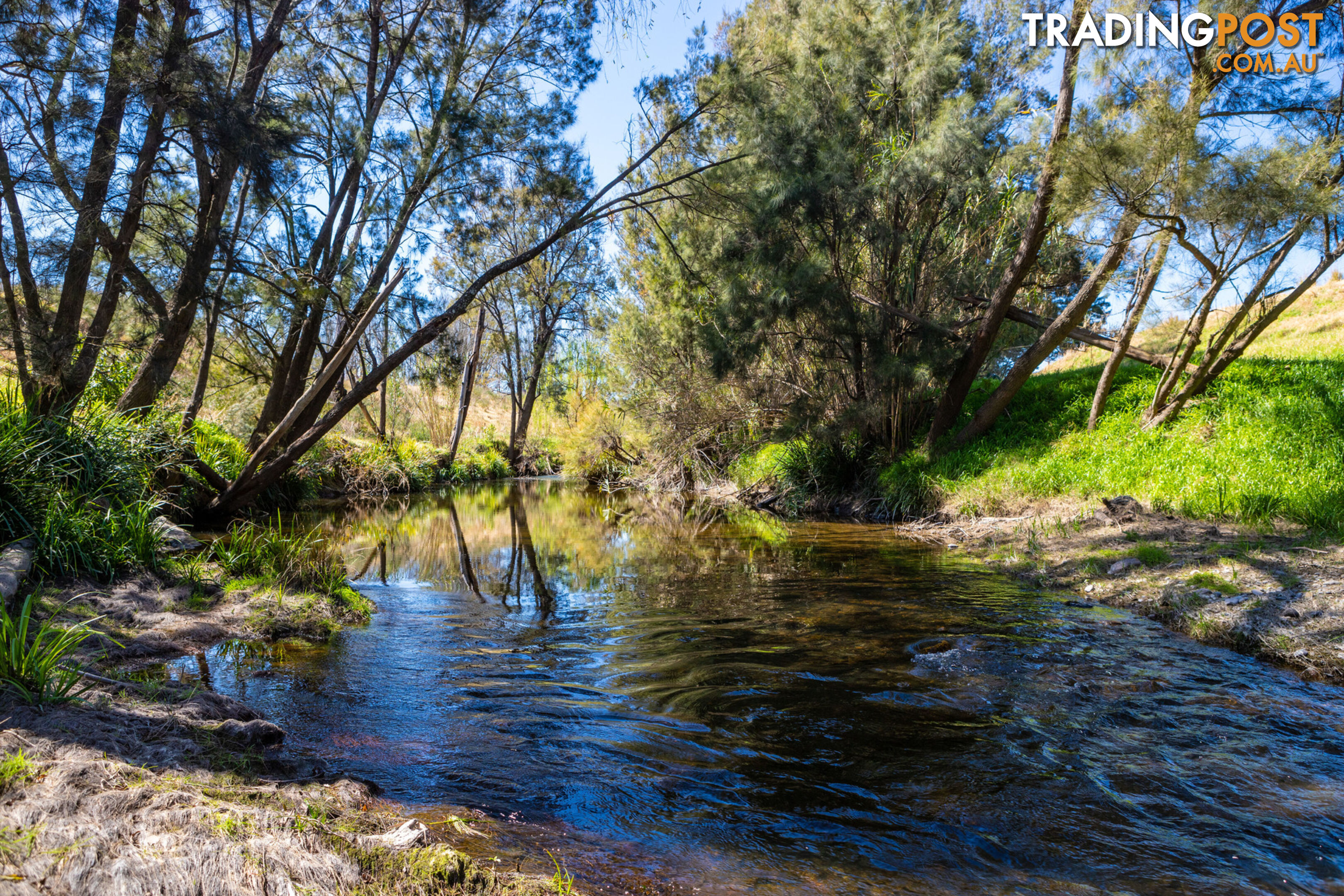 Lot 24/Lot 16 Hanleys Creek Road DUNGOG NSW 2420