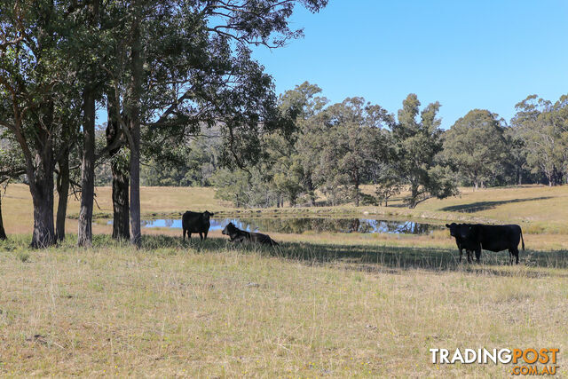 Lot 18/Lot 16 Hanleys Creek Road DUNGOG NSW 2420