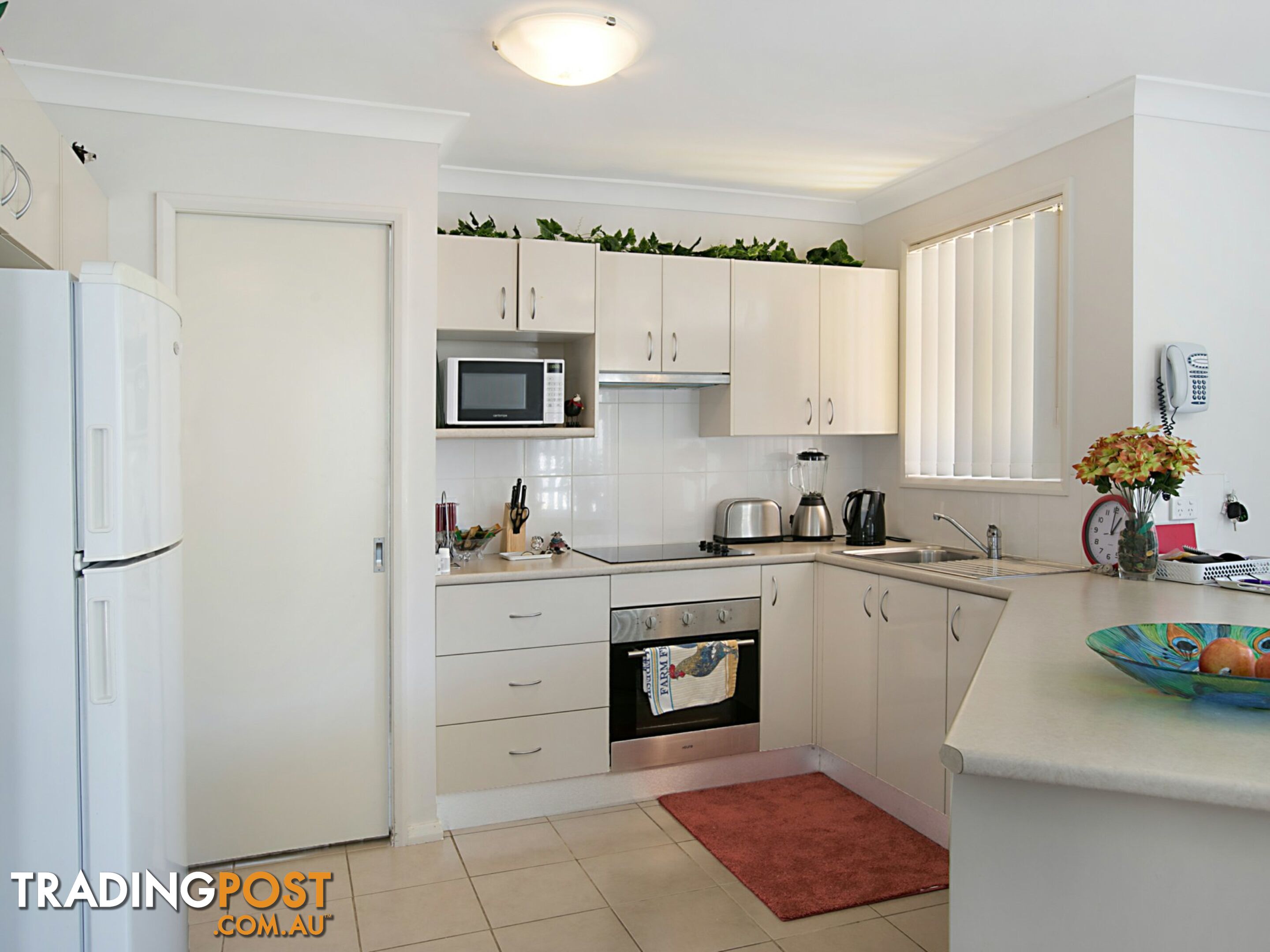 9 Osborn Crescent RAYMOND TERRACE NSW 2324