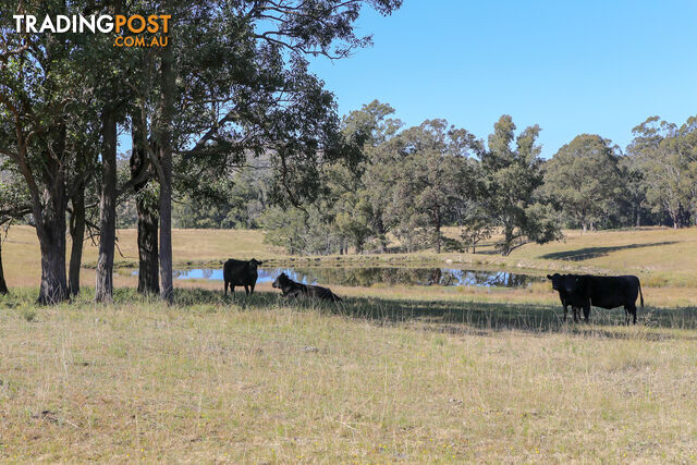 Lot 19/Lot 16 Hanleys Creek Road DUNGOG NSW 2420