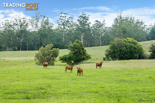 Lot 19/Lot 16 Hanleys Creek Road DUNGOG NSW 2420