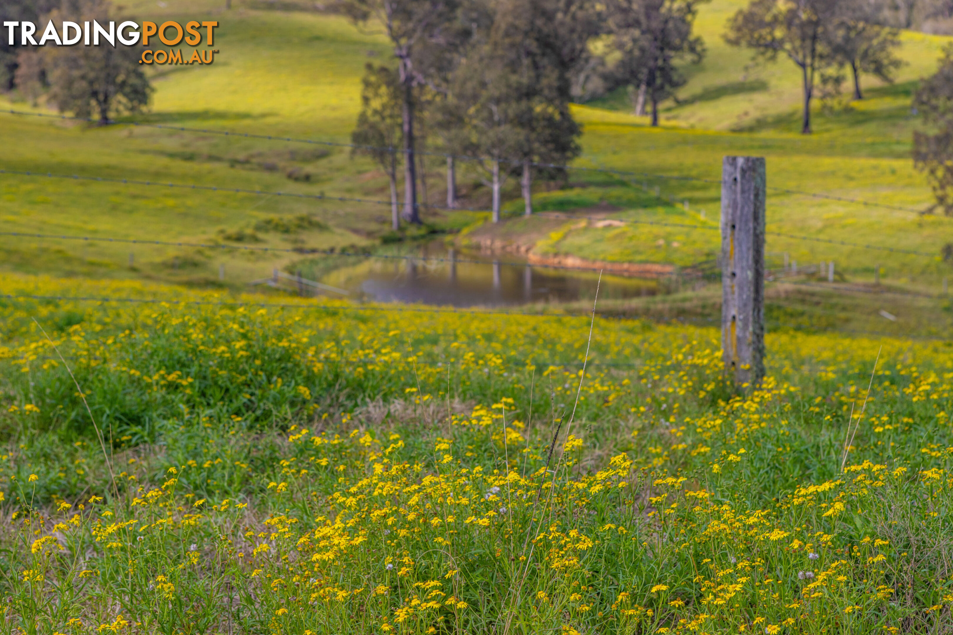 Lot 8/16 Hanleys Creek Road DUNGOG NSW 2420