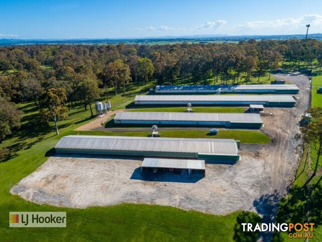 667 Seaham Road NELSONS PLAINS NSW 2324