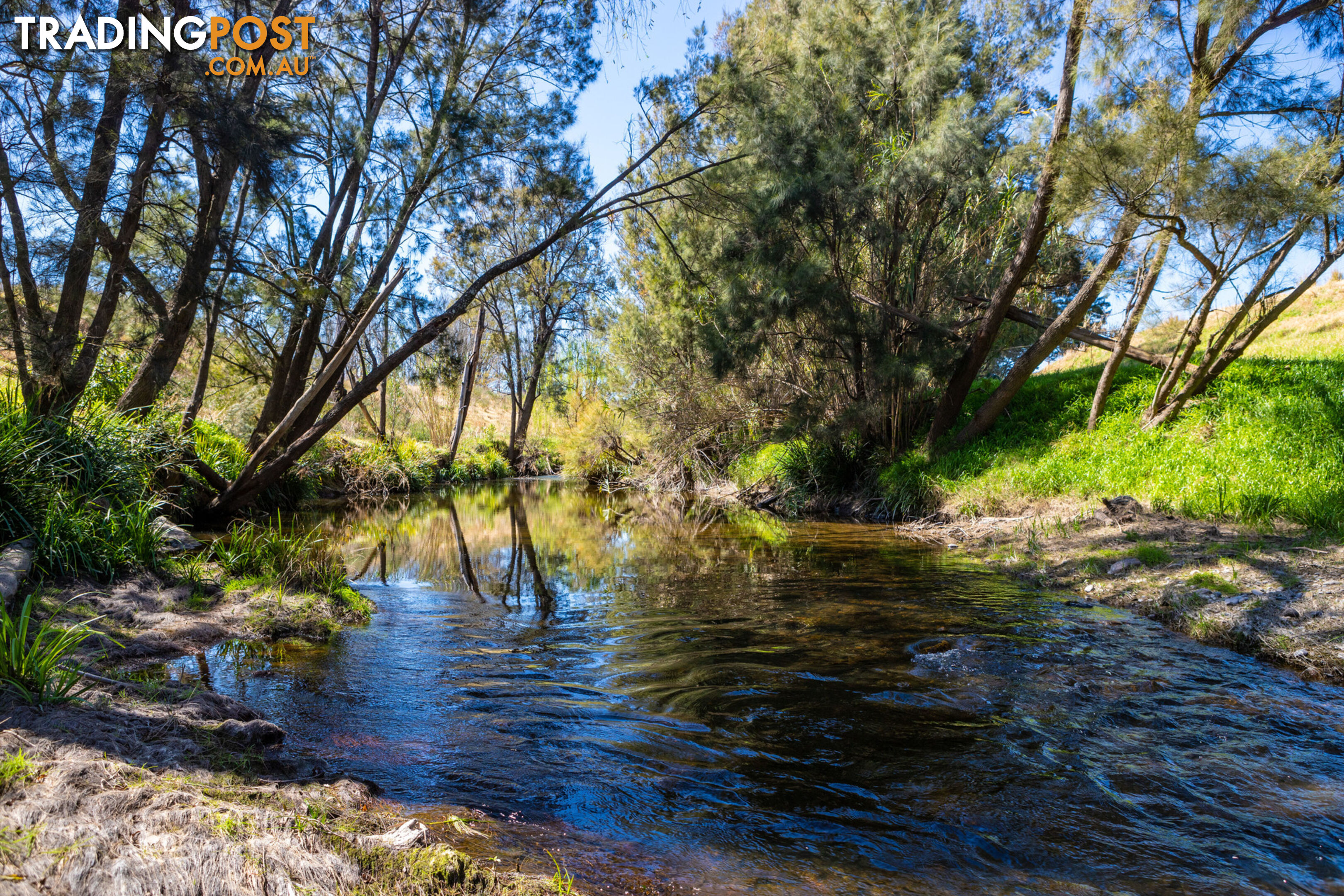 Lot 17/Lot 16 Hanleys Creek Road DUNGOG NSW 2420