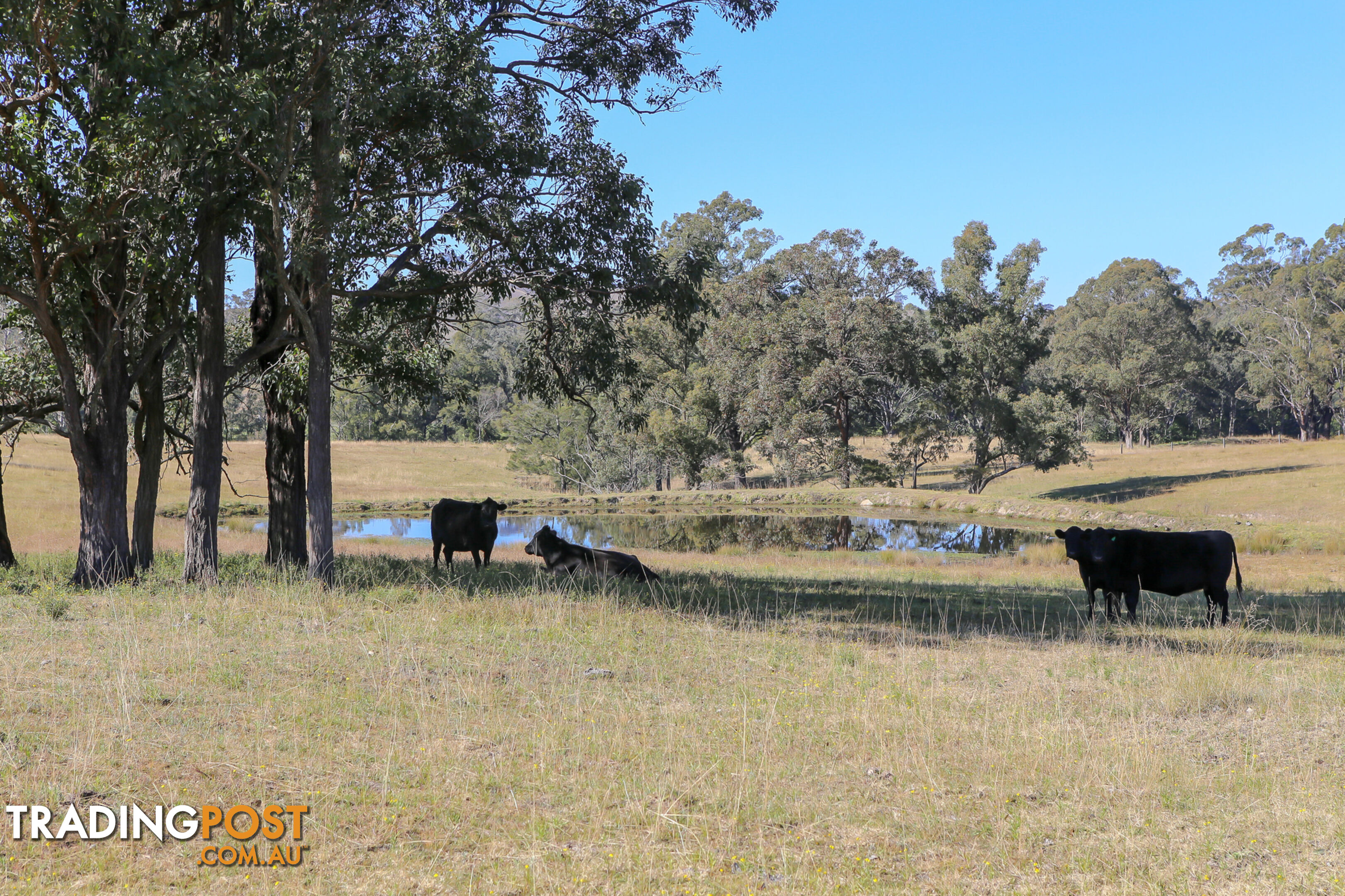 Lot 7/Lot 16 Hanleys Creek Road DUNGOG NSW 2420