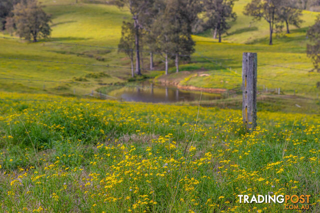 Lot 21/lot 16 Hanleys Creek Road DUNGOG NSW 2420