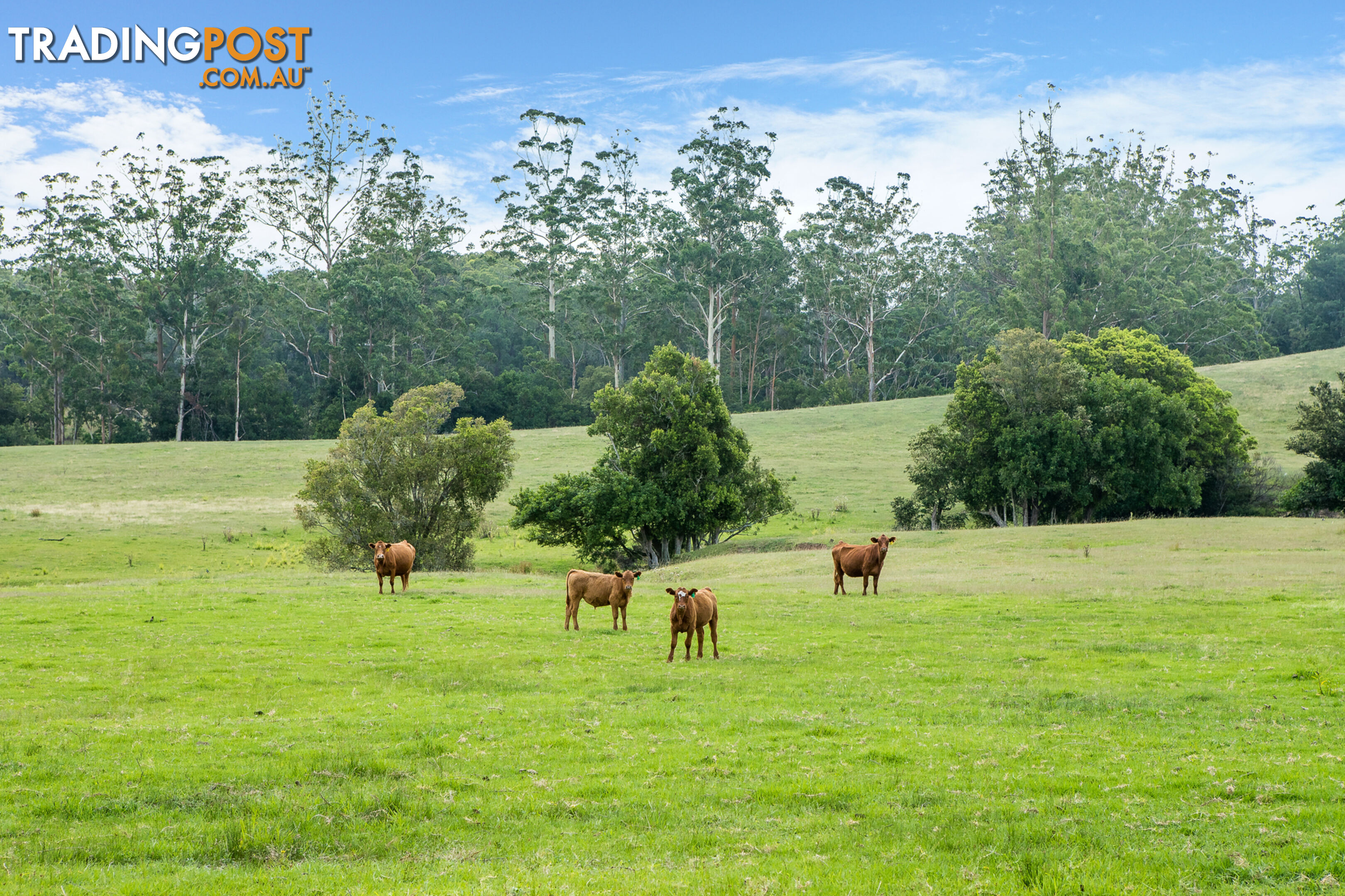 Lot 21/lot 16 Hanleys Creek Road DUNGOG NSW 2420