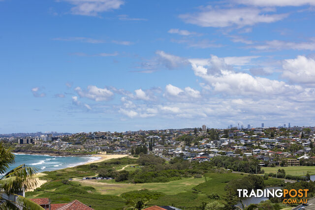 7 Austin Avenue NORTH CURL CURL NSW 2099