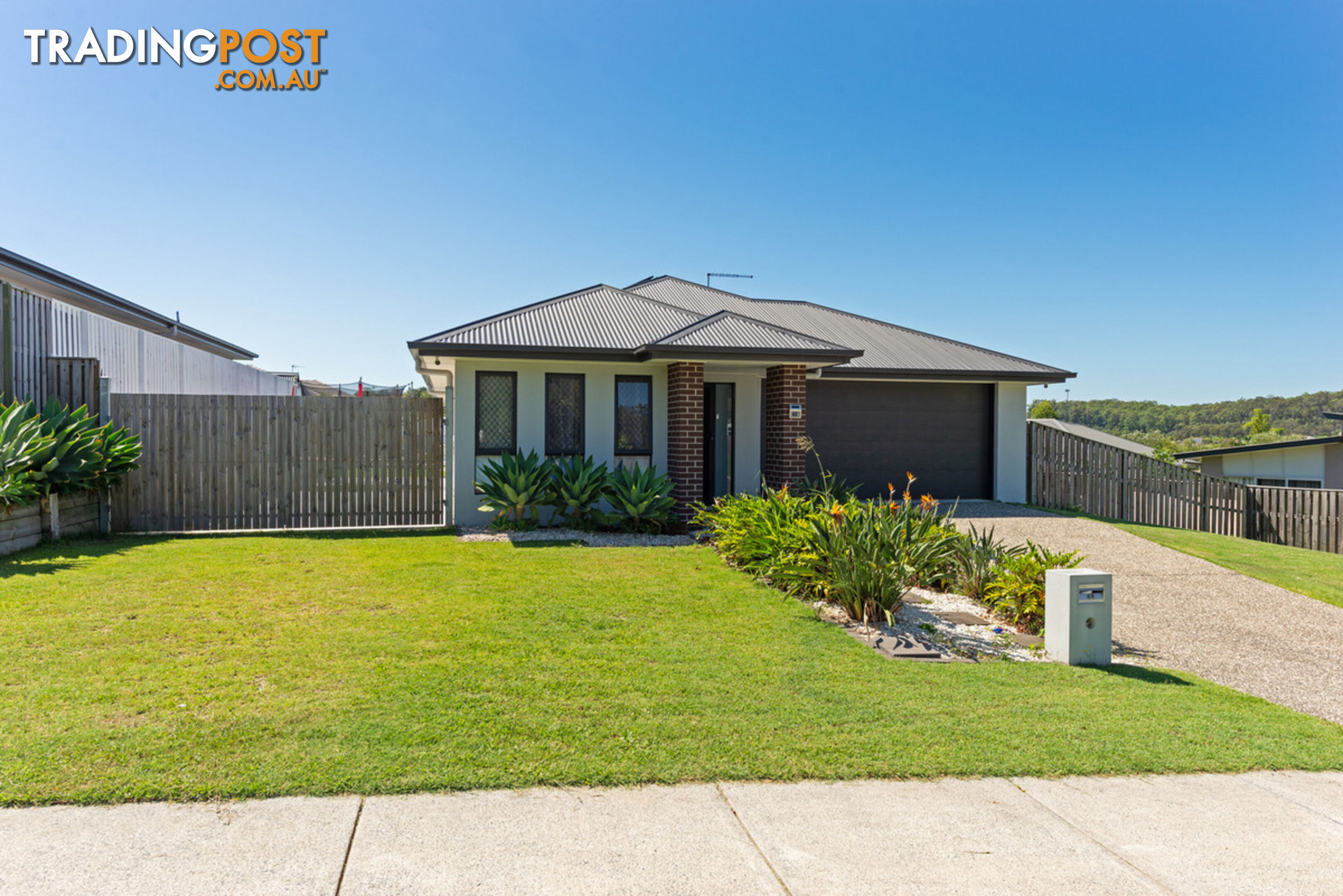 40 Shelduck Street UPPER COOMERA QLD 4209