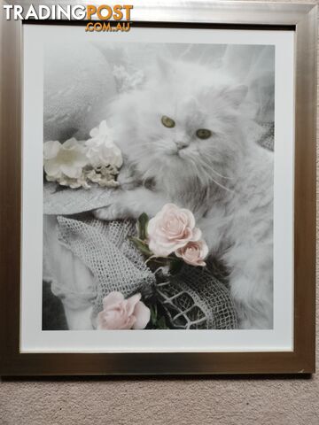 ELEGANT FRAMED PICTURE OF A WHITE PERSIAN CAT