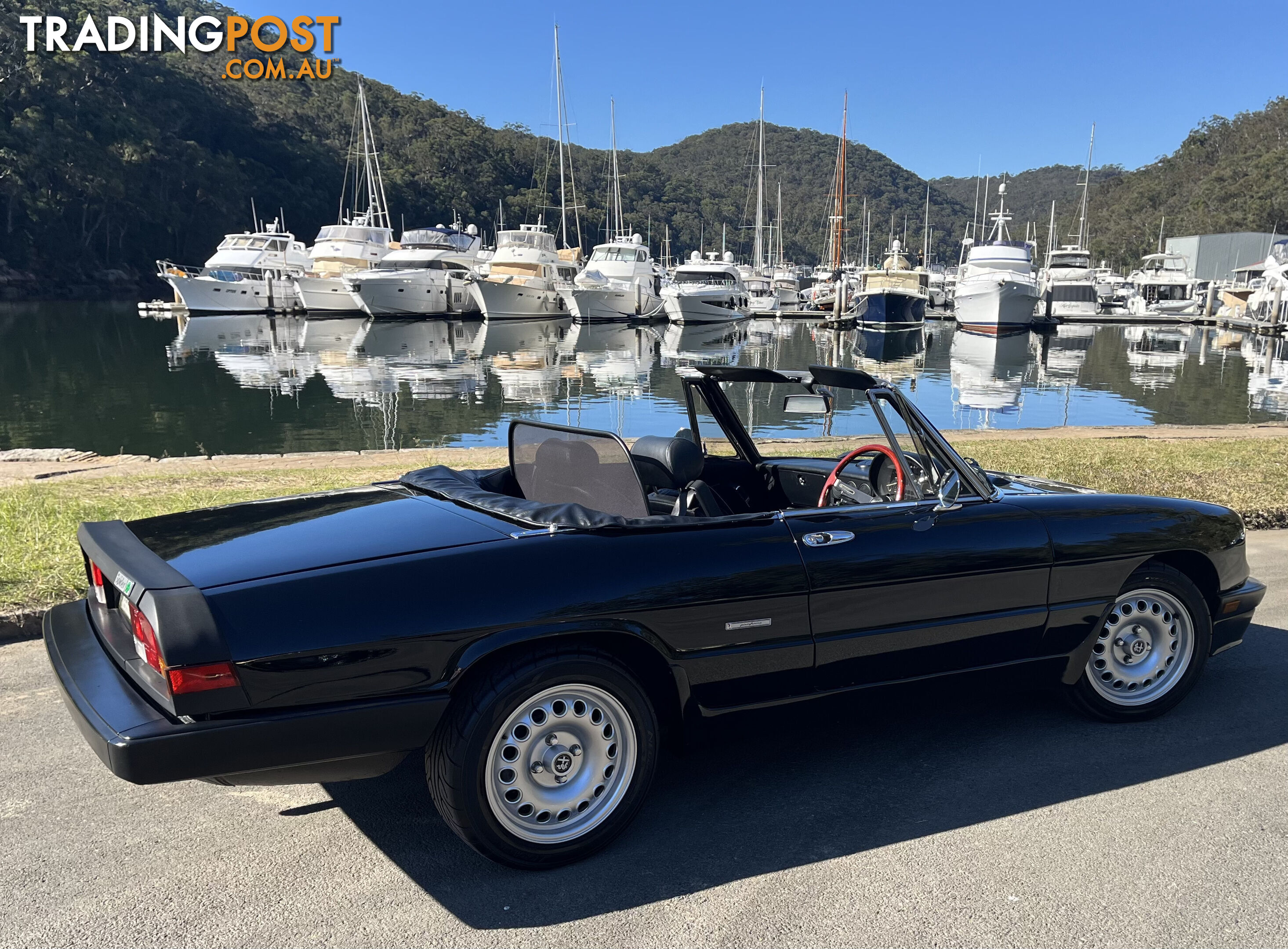 1983 Alfa Spider