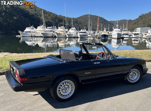 1983 Alfa Spider