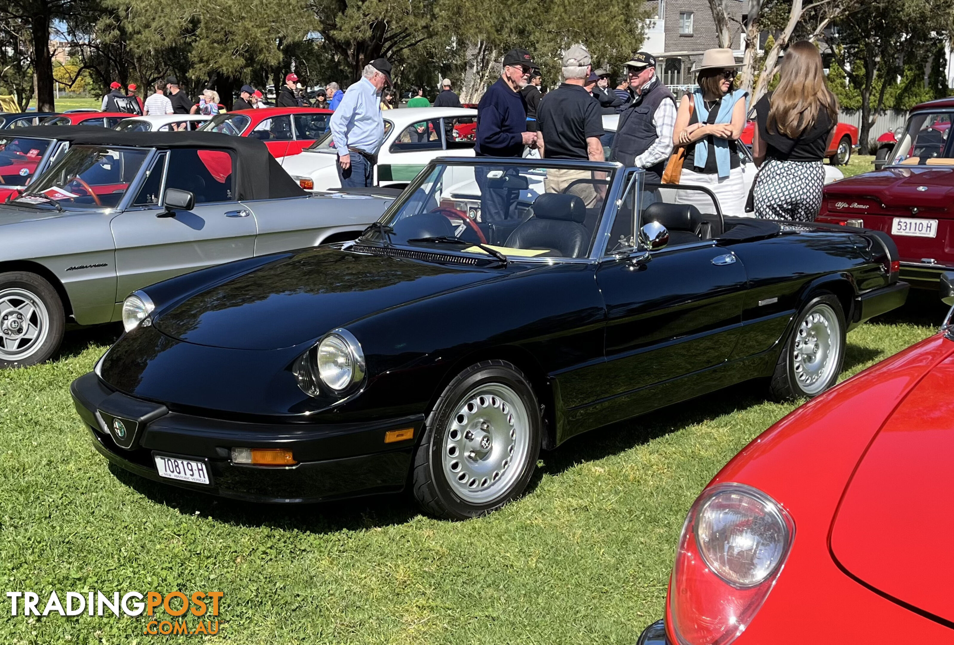 1983 Alfa Spider